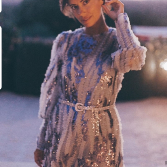 Zara limited edition sequin and tulled dress - Picture 4 of 8